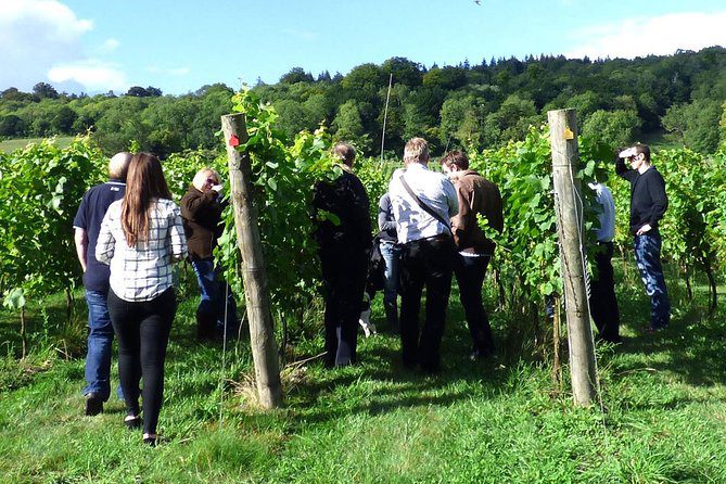 English-Wine-and-Cheese-Tour-from-London